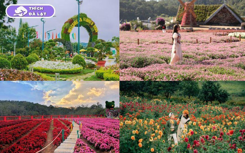 da-lat-2.jpg