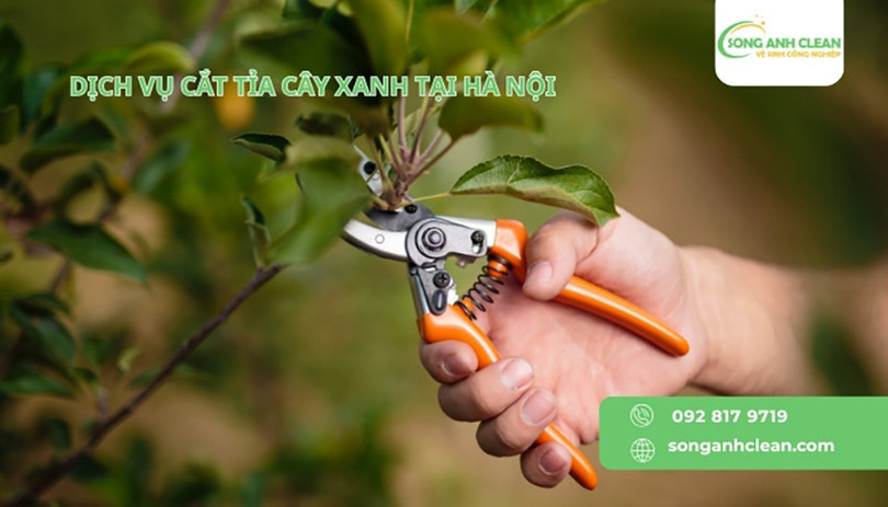 cat-tia-cay-5.jpg