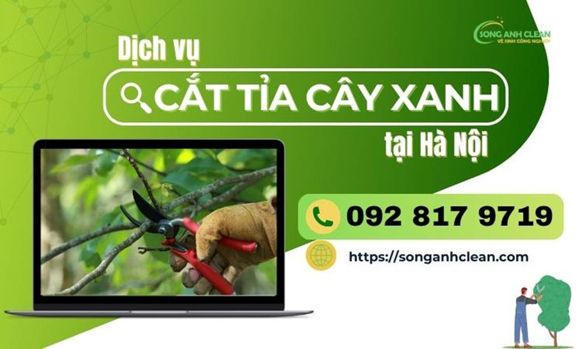 cat-tia-cay-1.jpg