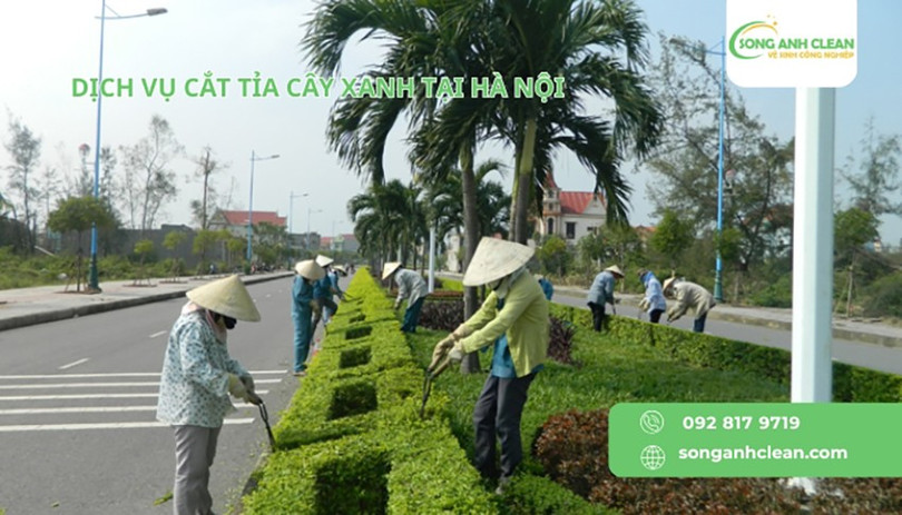 cat-tia-cay-4.jpg