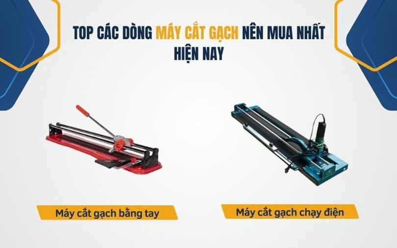 may-cat-2.jpg