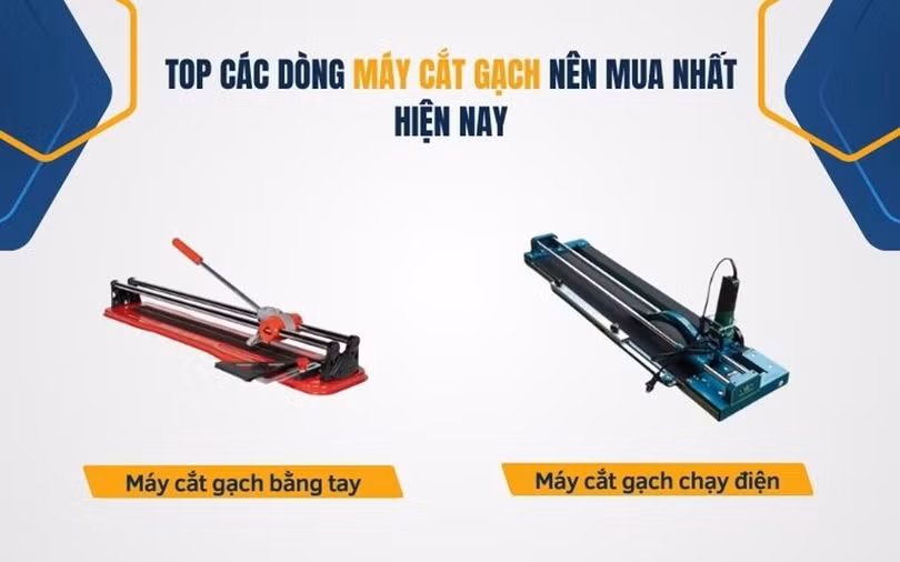 may-cat-2.jpg