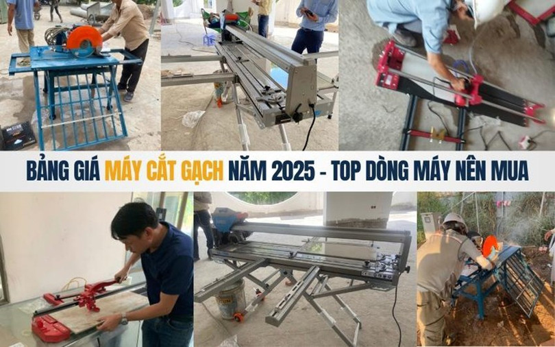 may-cat-1.jpg