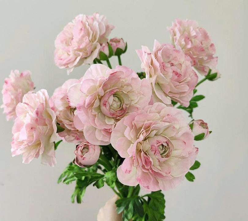 decor-4.jpg