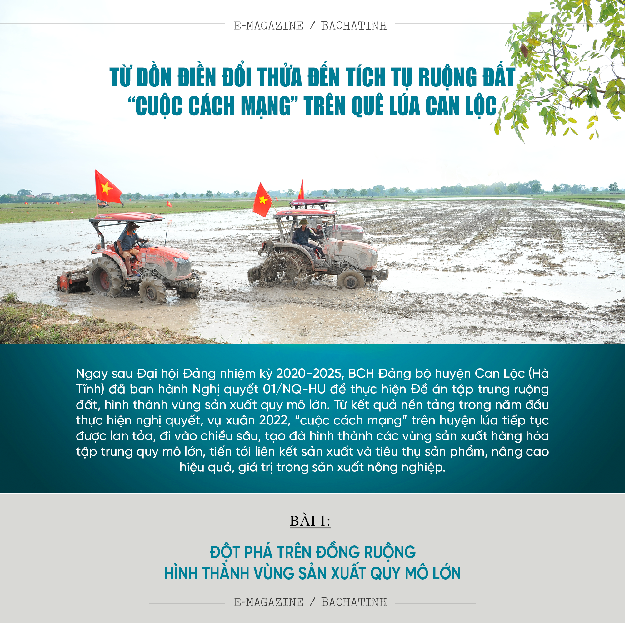 Từ dồn điền đổi thửa đến tích tụ ruộng đất - “cuộc cách mạng” trên quê lúa Can Lộc (bài 1): Đột phá trên đồng ruộng - hình thành vùng sản xuất quy mô lớn
