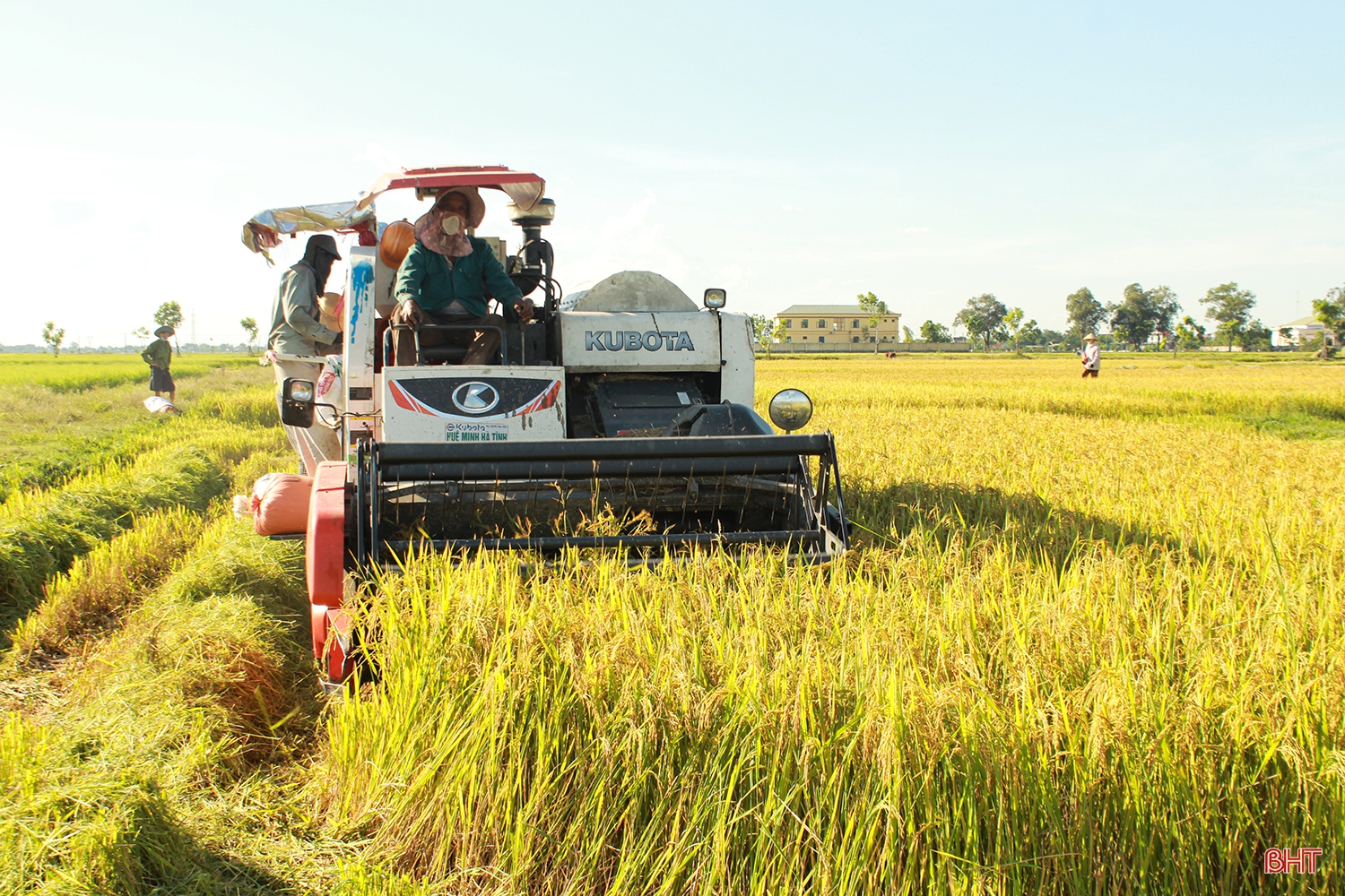 Từ dồn điền đổi thửa đến tích tụ ruộng đất - “cuộc cách mạng” trên quê lúa Can Lộc (bài 1): Đột phá trên đồng ruộng - hình thành vùng sản xuất quy mô lớn
