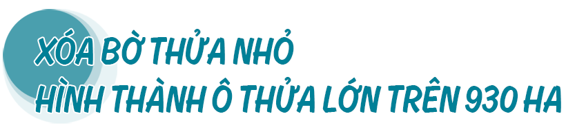 Từ dồn điền đổi thửa đến tích tụ ruộng đất - “cuộc cách mạng” trên quê lúa Can Lộc (bài 1): Đột phá trên đồng ruộng - hình thành vùng sản xuất quy mô lớn