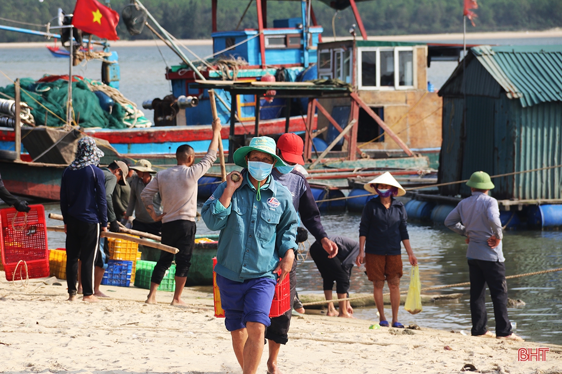 Ngư dân vùng biển phía Nam Hà Tĩnh trúng đậm cá cơm