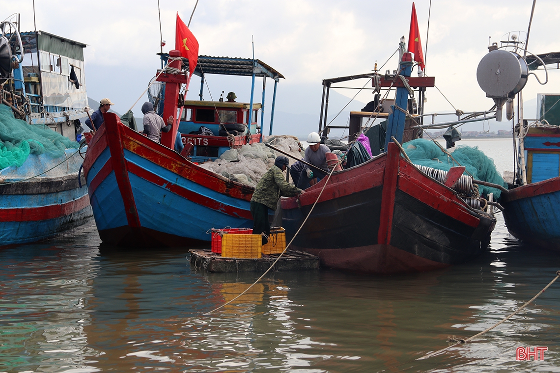 Ngư dân vùng biển phía Nam Hà Tĩnh trúng đậm cá cơm