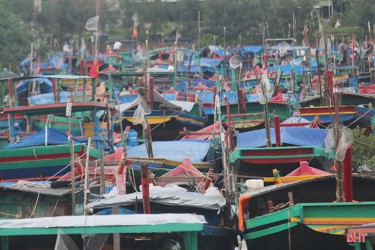 តាំងពីព្រឹកព្រលឹម អ្នកនេសាទបានប្រមូលផ្តុំគ្នាដោយនាំយកទូកទាំងតូច និងមធ្យមទាំងអស់ទៅកាន់កន្លែងបោះជំរក ដែលនៅឆ្ងាយពីច្រាំងជាមួយនឹងរលកធំៗ។ គេប្រើខ្សែពួរធំៗដើម្បីចងកប៉ាល់ឲ្យជិតគ្នា ដោយបានជួសជុលយ៉ាងរឹងមាំទៅនឹងយុថ្កា និងទំនប់។ bqbht_br_t4.jpg