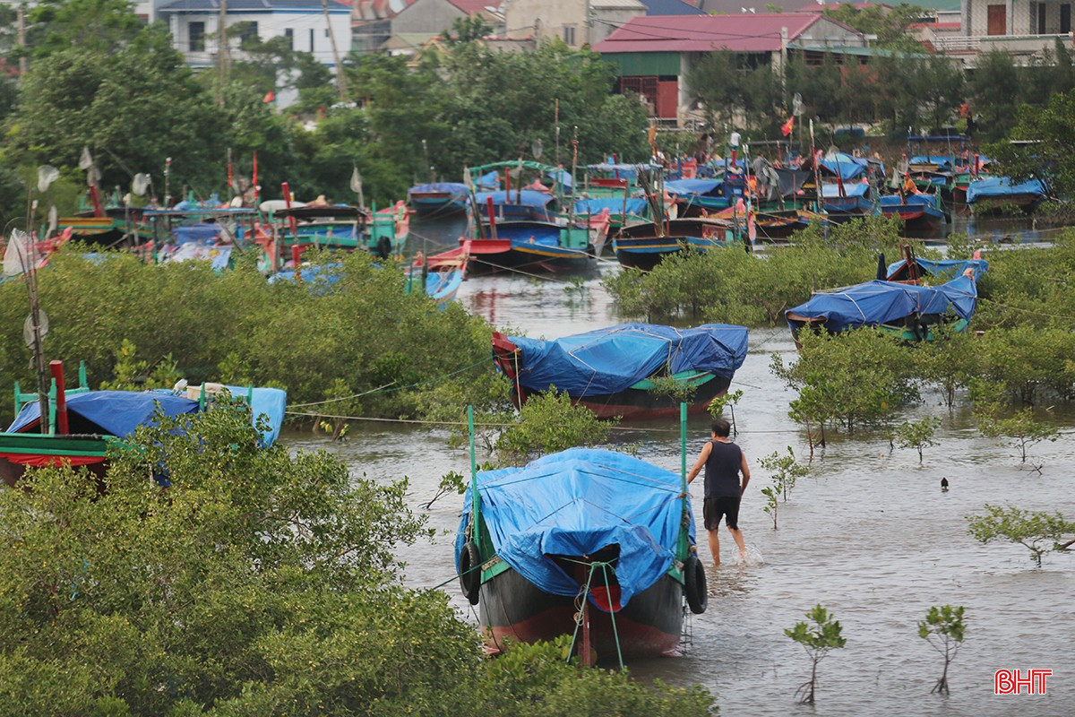 មុនពេលមានការព្រមានថា ខ្យល់ព្យុះលេខ១០ (Bualoi) ដែលមានកម្លាំងកម្រិត១៥ ហៀបនឹងបោកបក់មកនោះ ប្រជានេសាទក្នុងឃុំឆ្នេរ Ha Tinh កំពុងទប់ទល់នឹងភ្លៀង និងខ្យល់ ដោយបានចាត់វិធានការជាបន្ទាន់ដើម្បីចង និងពង្រឹងទូកនៅយុថ្ការបស់ពួកគេ។ bqbht_br_t1.jpg