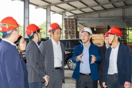 Từ thương trường đến nghị trường - kỳ vọng doanh nhân góp phần xây dựng chính sách sát thực tiễn