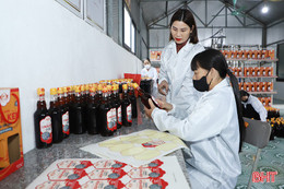 Nhộn nhịp mùa Tết ở các cơ sở nước mắm truyền thống Hà Tĩnh