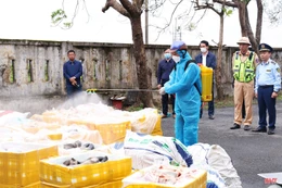 Chống buôn lậu, gian lận thương mại: Mạnh tay xử lý, chặn nguy cơ lớn