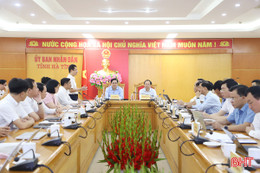Lãnh đạo Hà Tĩnh làm việc với EVNNPC về cấp điện cho dự án trọng điểm