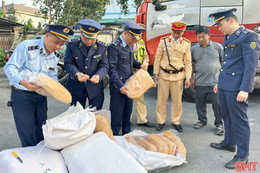 Quản lý thị trường Hà Tĩnh xử lý gần 200 vụ vi phạm dịp cao điểm Tết