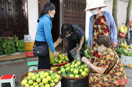 Đặc sản cam Hà Tĩnh vào mùa thu hoạch