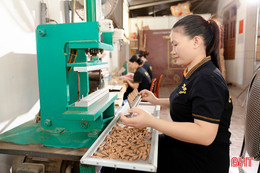 Tổ chức bình chọn sản phẩm công nghiệp nông thôn tiêu biểu Hà Tĩnh trước 30/6