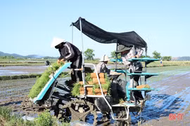 Triển khai đồng bộ các giải pháp, thực hiện hiệu quả kế hoạch sản xuất hè thu