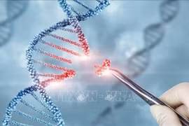 Lần đầu tiên, các nhà khoa học chỉnh sửa chính xác gene trong phôi người