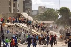 Động đất tại Venezuela: Cảng biển quan trọng La Guaira hoạt động trở lại