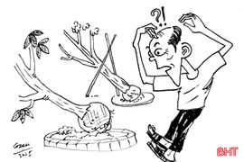 Trồng cái cây cũng theo kiểu “ăn nhanh”