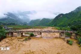 Sơn La: Mưa lớn gây sạt lở, thiệt hại hạ tầng, hoa màu