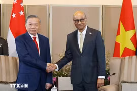 Đưa quan hệ Đối tác Chiến lược Toàn diện Việt Nam-Singapore sang giai đoạn phát triển mới về chất