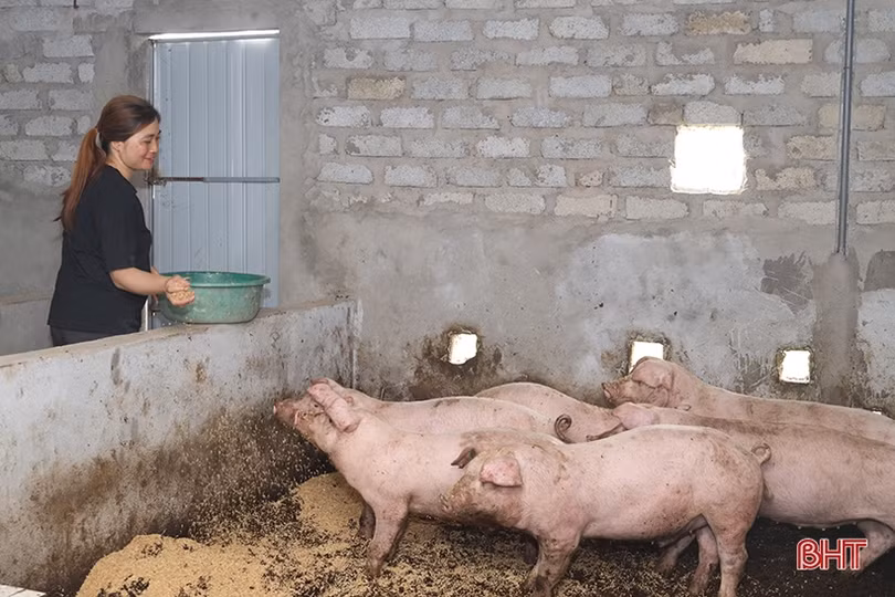 Hành trình phát triển nông nghiệp xanh ở Hà Tĩnh