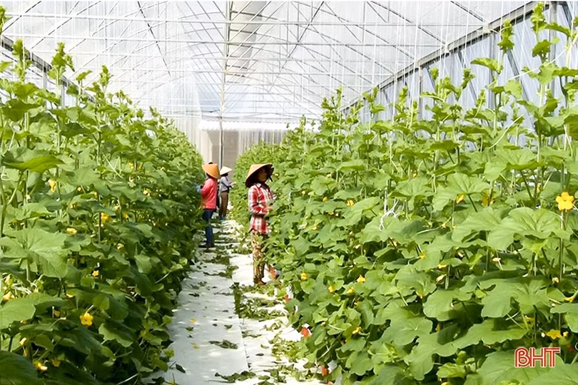 Tự hào quê hương Tổng Bí thư đầu tiên của Đảng