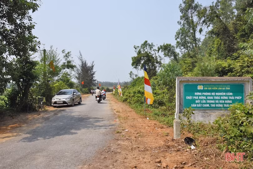 Hà Tĩnh tập trung ngăn lửa, giữ rừng trong mùa nắng nóng