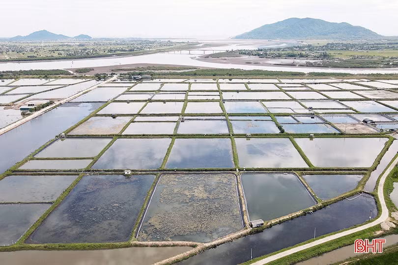 Hành trình phát triển nông nghiệp xanh ở Hà Tĩnh