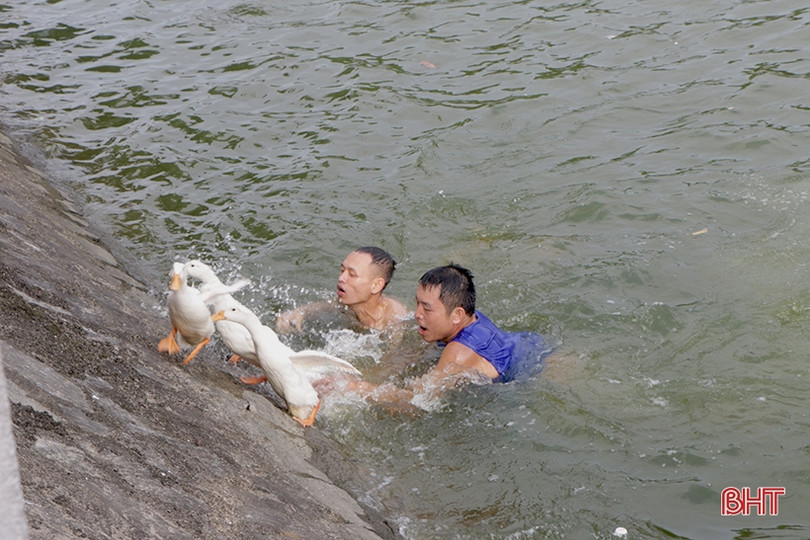 Đua thuyền truyền thống trên sông Cụt