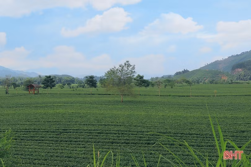 Nhiều du khách ngược ngàn khám phá miền biên giới Hà Tĩnh