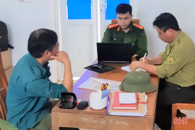 Phạt 11 triệu đồng đối tượng chặt phá rừng trái phép ở Hương Khê