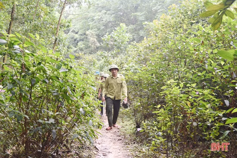 Hà Tĩnh tập trung ngăn lửa, giữ rừng trong mùa nắng nóng