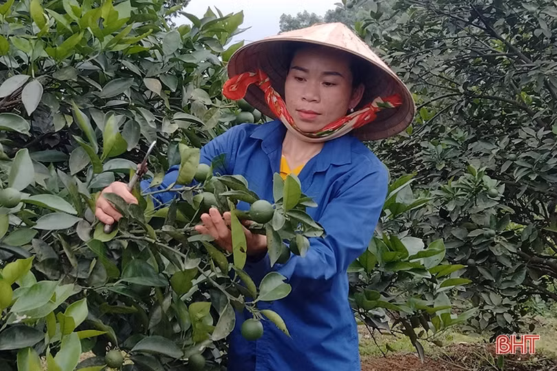 Rộn ràng khí thế thi đua lao động sản xuất tại Hà Tĩnh