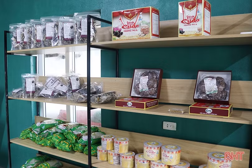 Quảng bá sản phẩm OCOP tại biển Thạch Hải