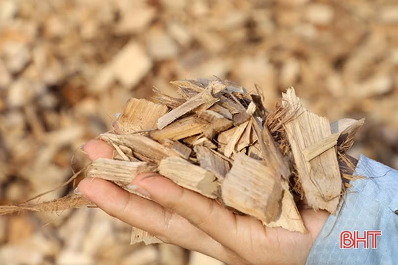 Kim ngạch xuất nhập khẩu của Hà Tĩnh tăng trưởng khá