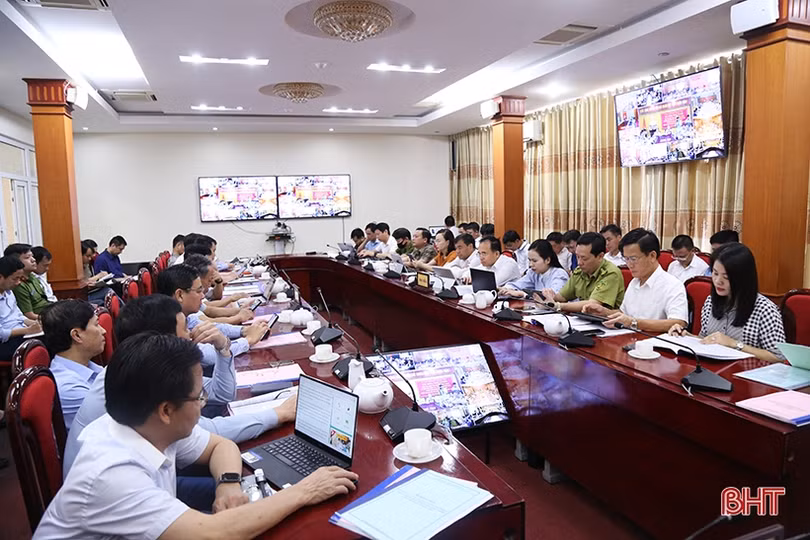 Tập trung cao phòng chống cháy rừng, ứng phó với thiên tai