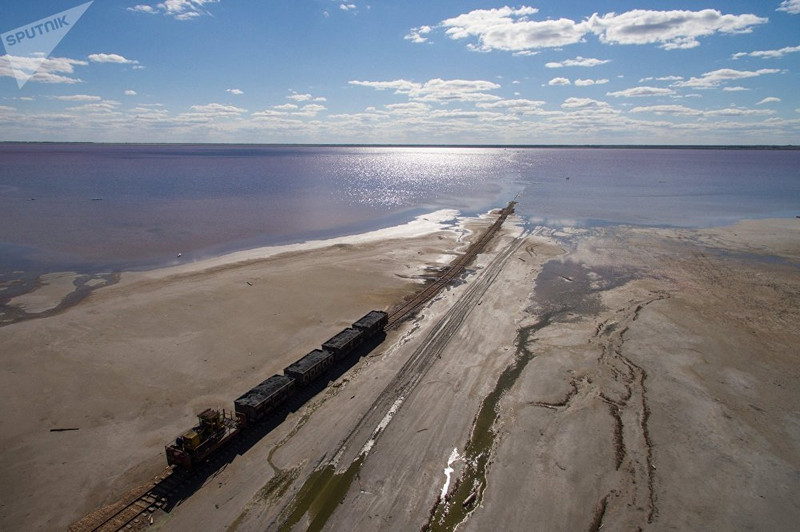 nhung ho muoi mau hong tuyet dep o nga