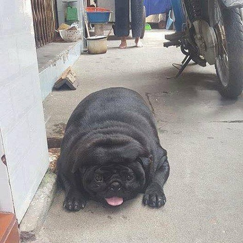 10 anh hai hot nhat facebook trong ngay