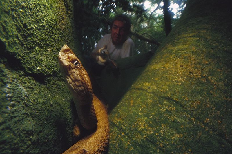 nhung hon dao dang so nhat the gioi