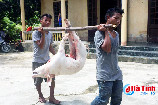 photo ban rao tre vui mung don tet lap lo