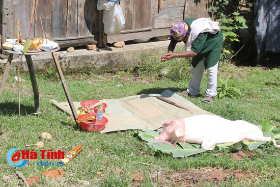 photo ban rao tre vui mung don tet lap lo