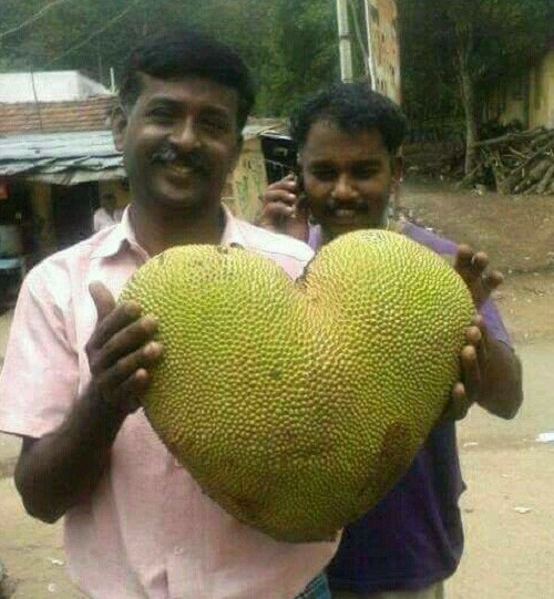 10 anh hai hot nhat facebook trong ngay