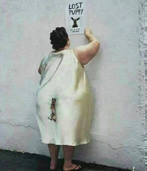 10 anh hai hot nhat facebook trong ngay