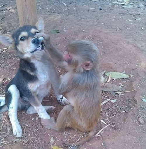 10 anh hai hot nhat facebook trong ngay