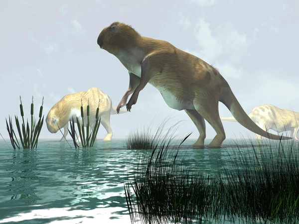 8 quai vat chung ta nen cam ta troi dat vi chung da bien mat