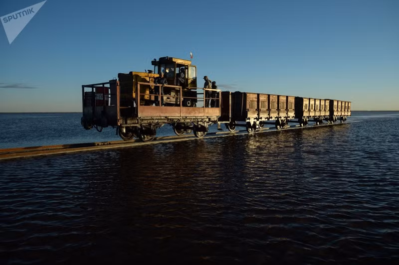 nhung ho muoi mau hong tuyet dep o nga